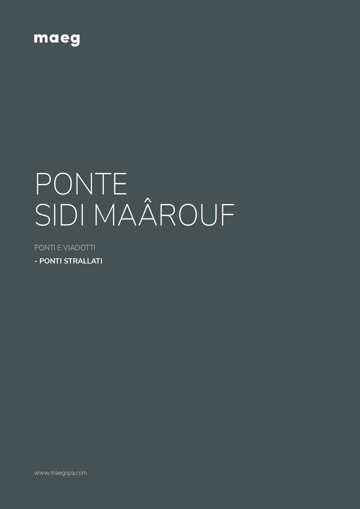 Sidi Ma&ocirc;rouf bridge